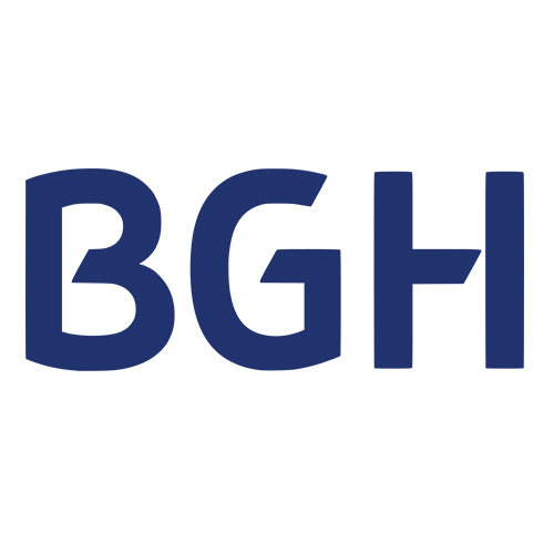 Service Calderas BGH